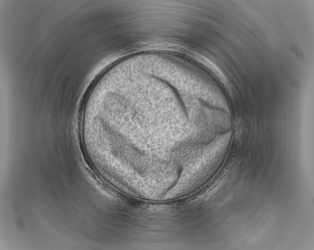 X0000111041043200907161340