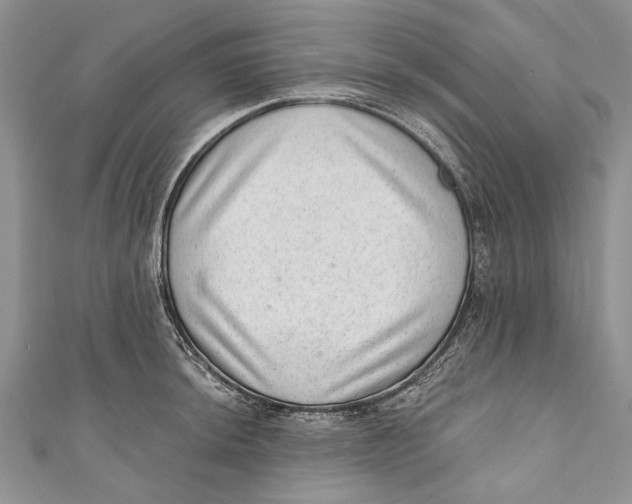 X0000111041044200907161341