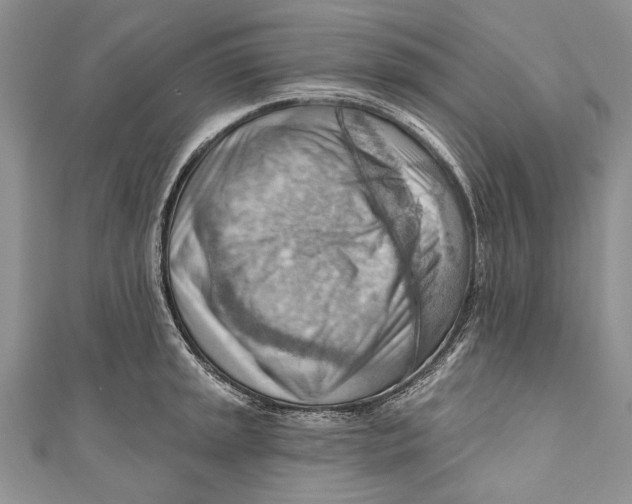 X0000111041045200907161341