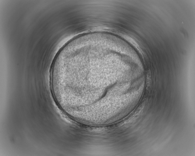 X0000111041047200907161341