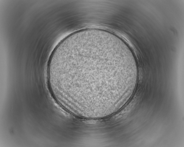 X0000111041048200907161341