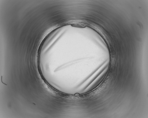 X0000111041050200907161341