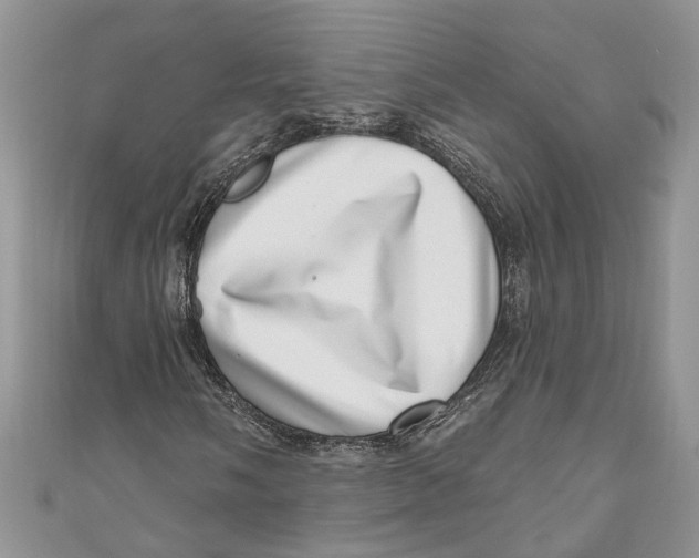 X0000111041058200907161340