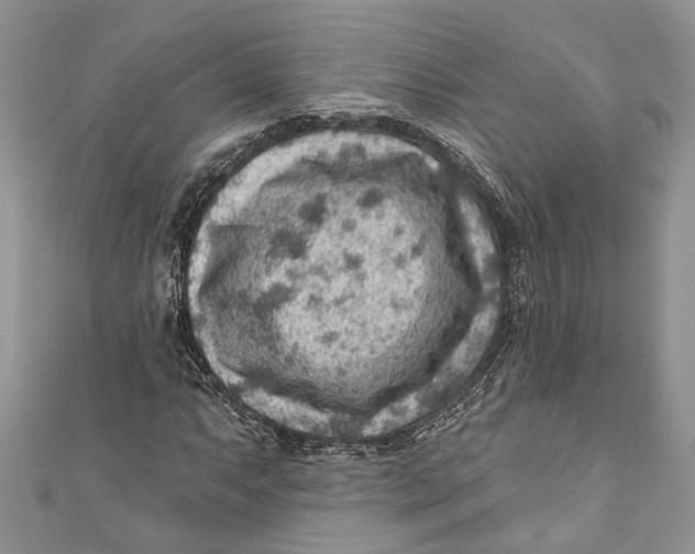 X0000111041063200907161340