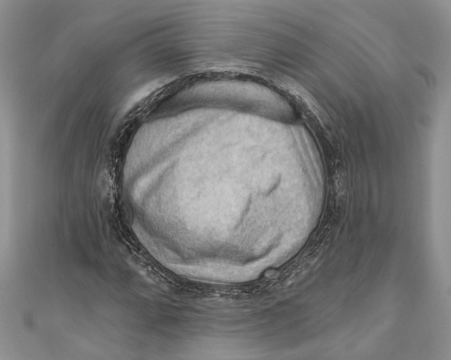 X0000111041064200907161340