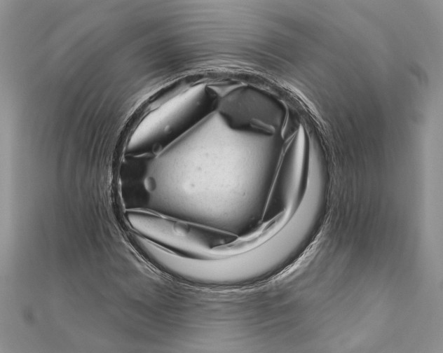 X0000111041065200907161340