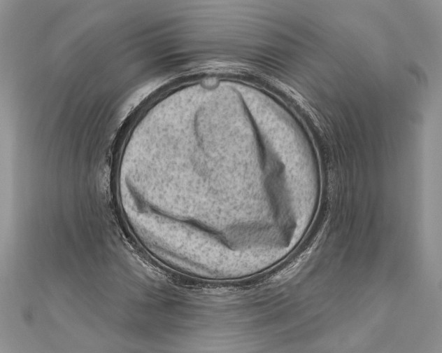 X0000111041066200907161340