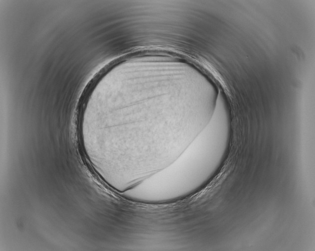 X0000111041068200907161340