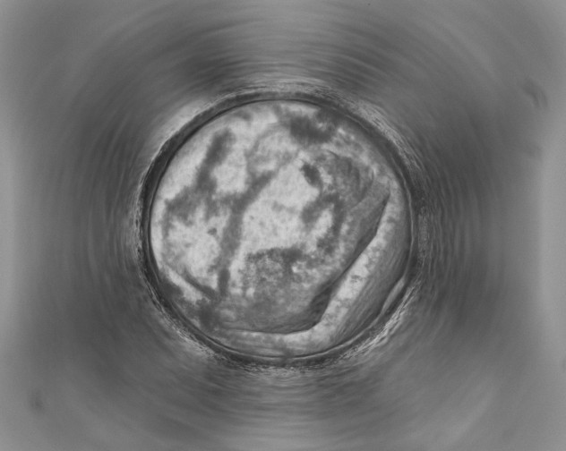 X0000111041071200907161340