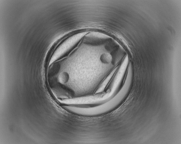 X0000111041072200907161340