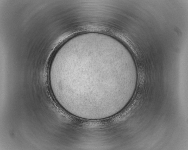 X0000111041074200907161340