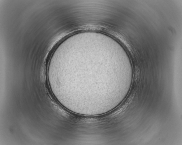 X0000111041075200907161340