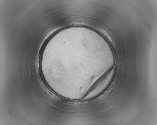 X0000111041076200907161340