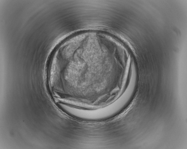 X0000111041077200907161340