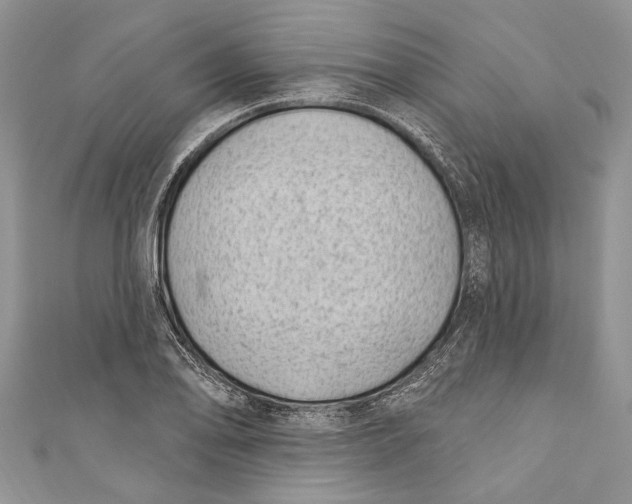 X0000111041078200907161340