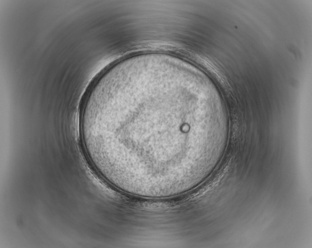 X0000111041079200907161340