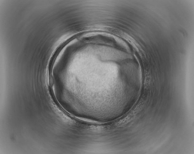 X0000111041080200907161340