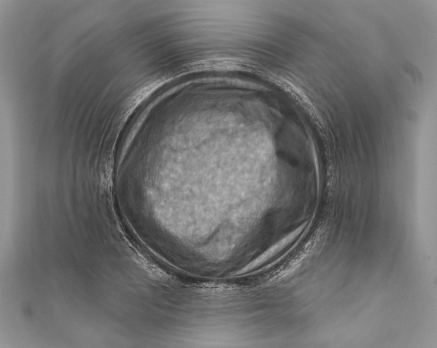 X0000111041081200907161340