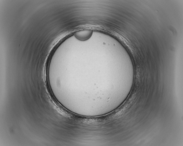 X0000111041082200907161340