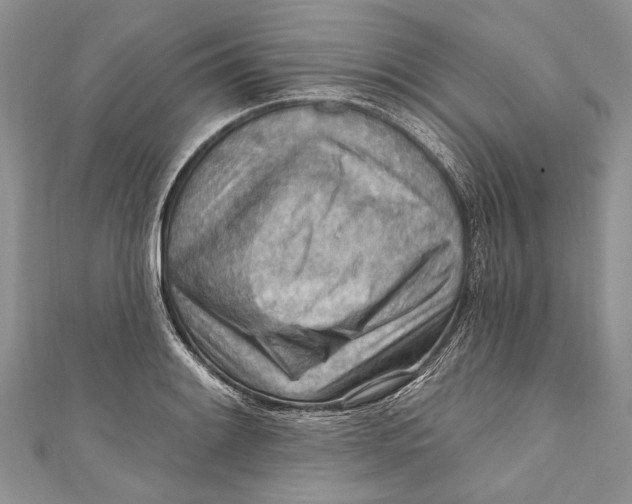 X0000111041084200907161340