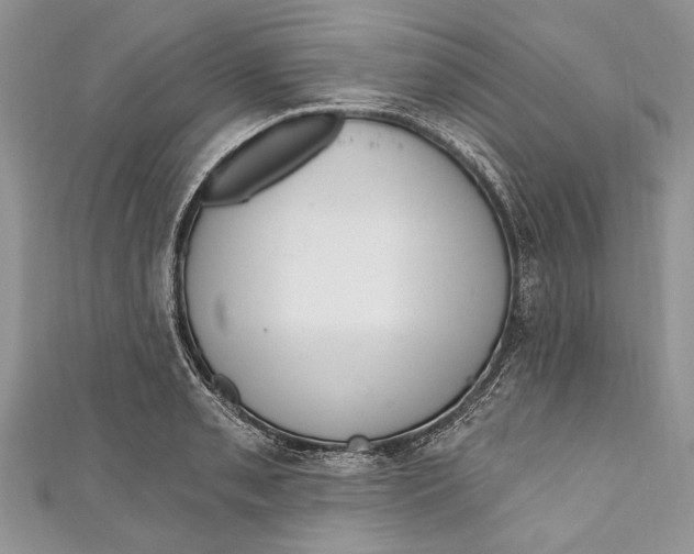 X0000111041085200907161340