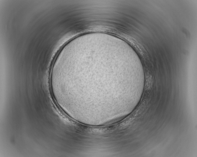 X0000111041086200907161340