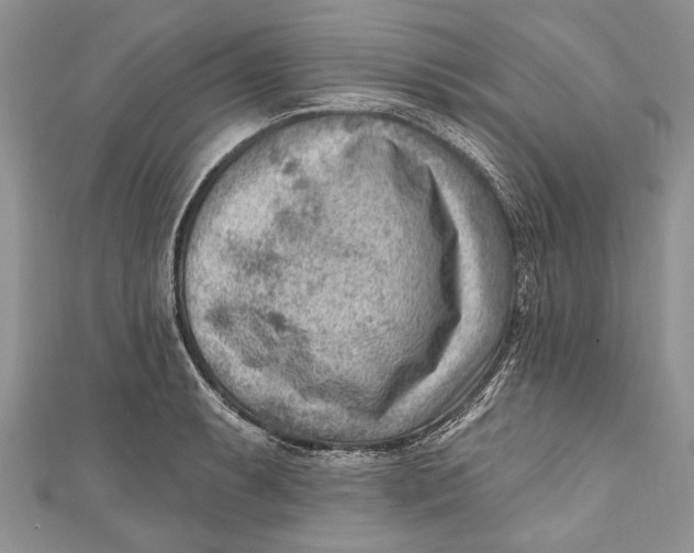 X0000111041087200907161340