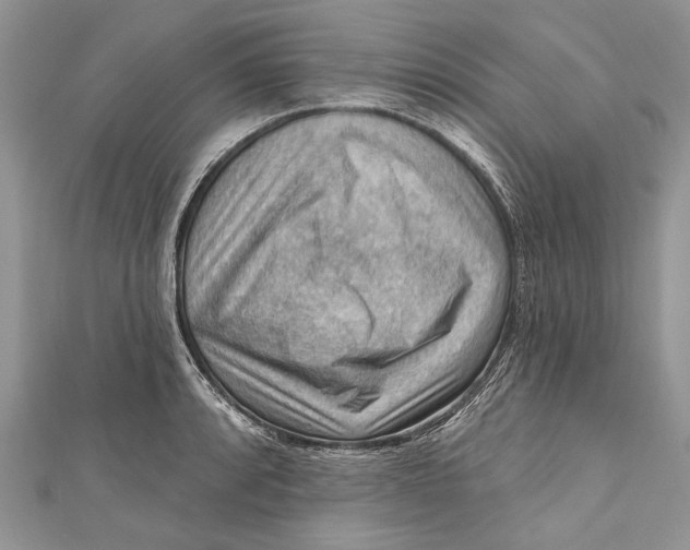 X0000111041088200907161340