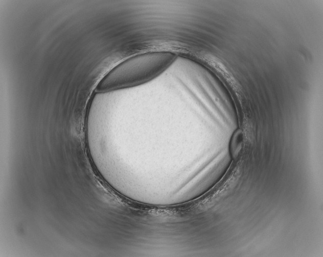 X0000111041089200907161340