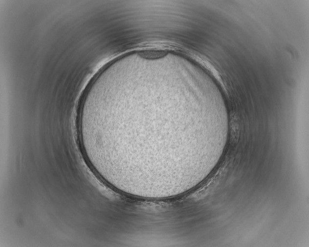 X0000111041091200907161340