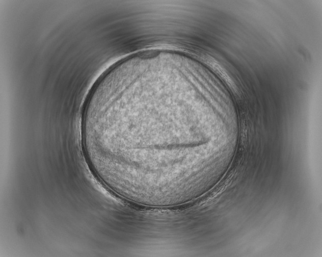 X0000111041092200907161340