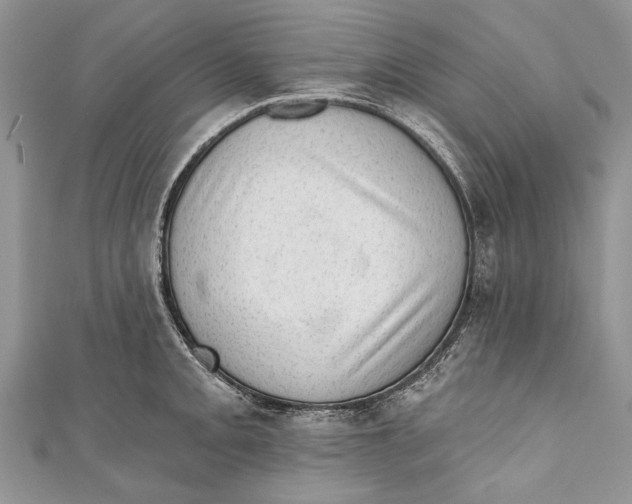 X0000111041093200907161340