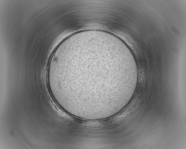 X0000111041094200907161340