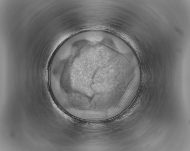 X0000111041095200907161340