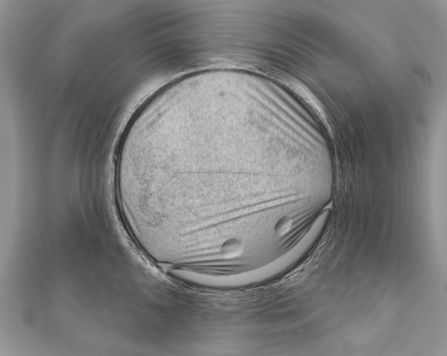 X0000111041096200907161340