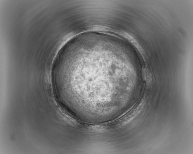 X0000111041097200907161340