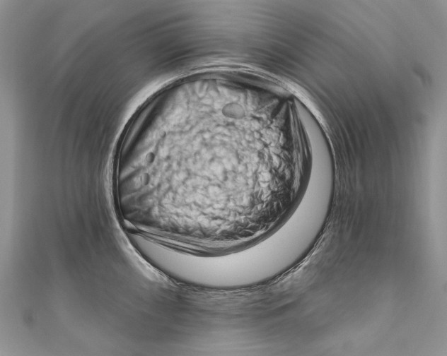 X0000111041098200907161340