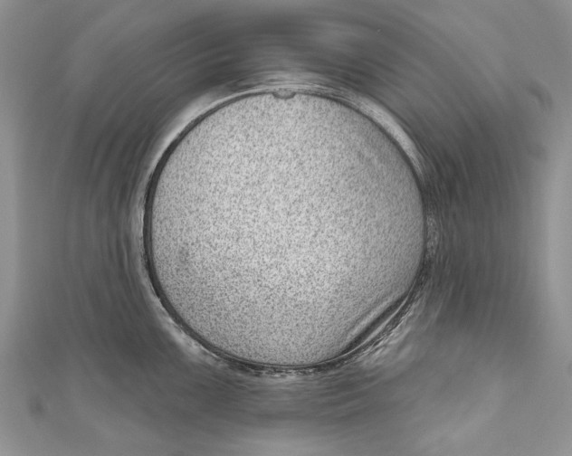 X0000111041099200907161340