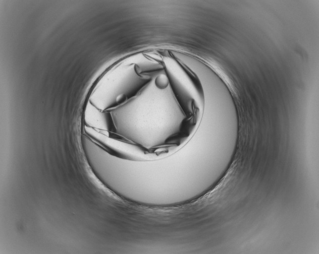 X0000111041100200907161339