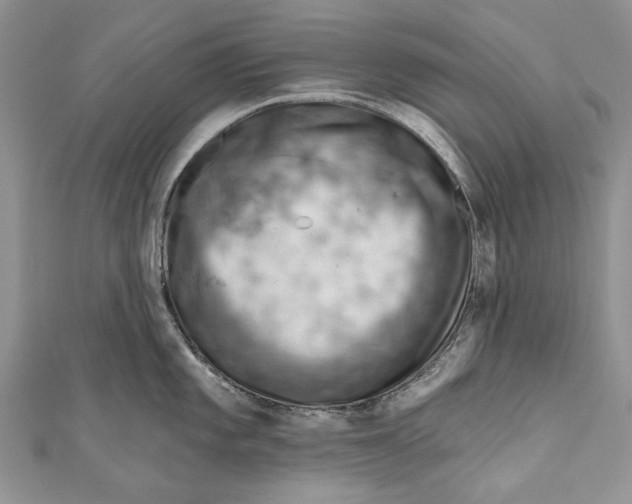 X0000111041101200907161339