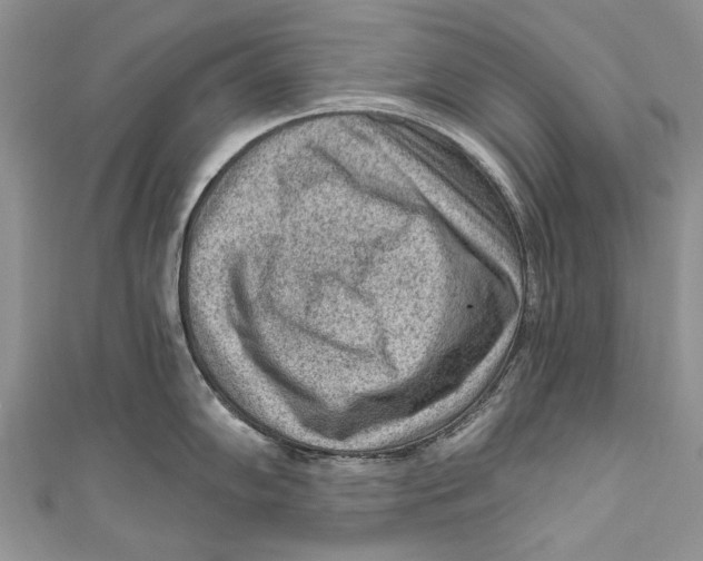 X0000111041102200907161339