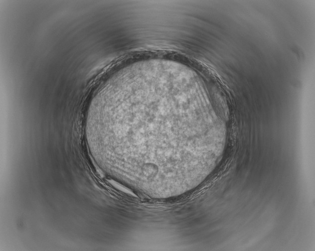 X0000111041110200907161339