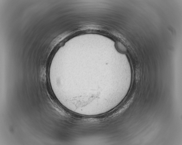 X0000111041113200907161339