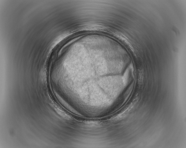 X0000111041114200907161339