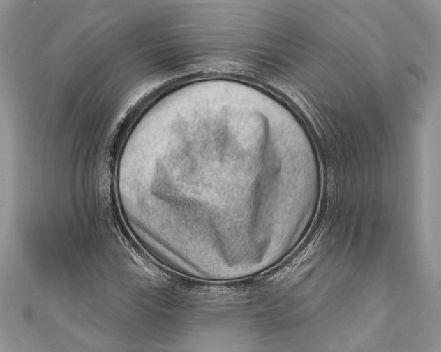 X0000111041115200907161339