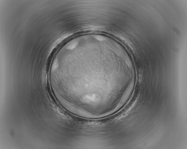 X0000111041117200907161339