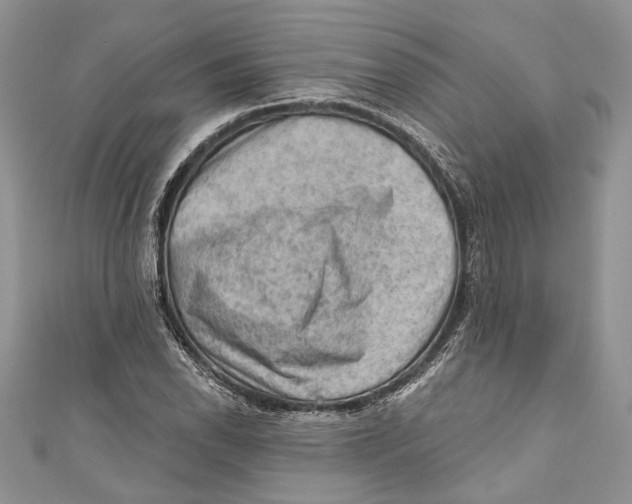 X0000111041118200907161339