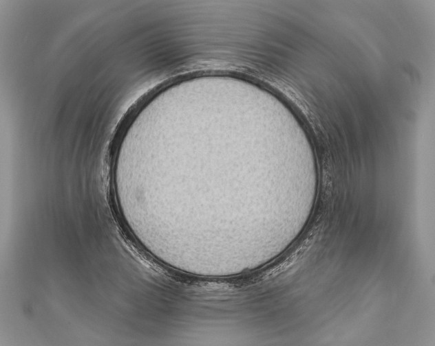 X0000111041119200907161339