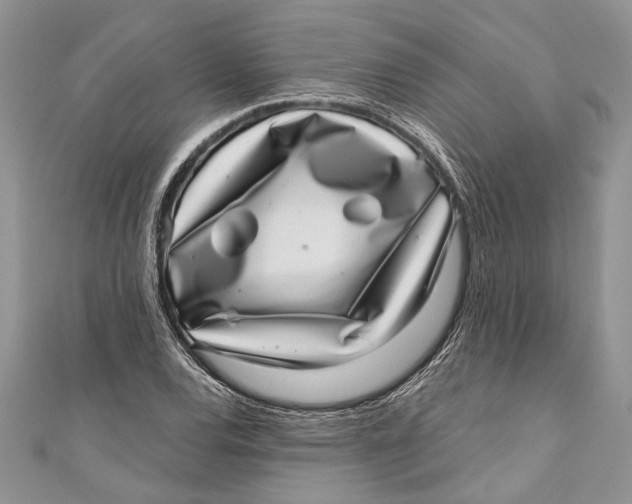 X0000111041120200907161339