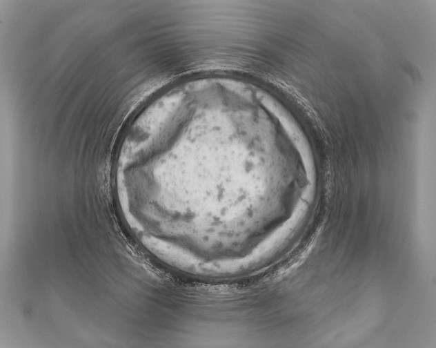 X0000111041121200907161339